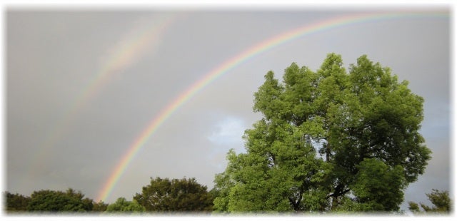 rainbow_image